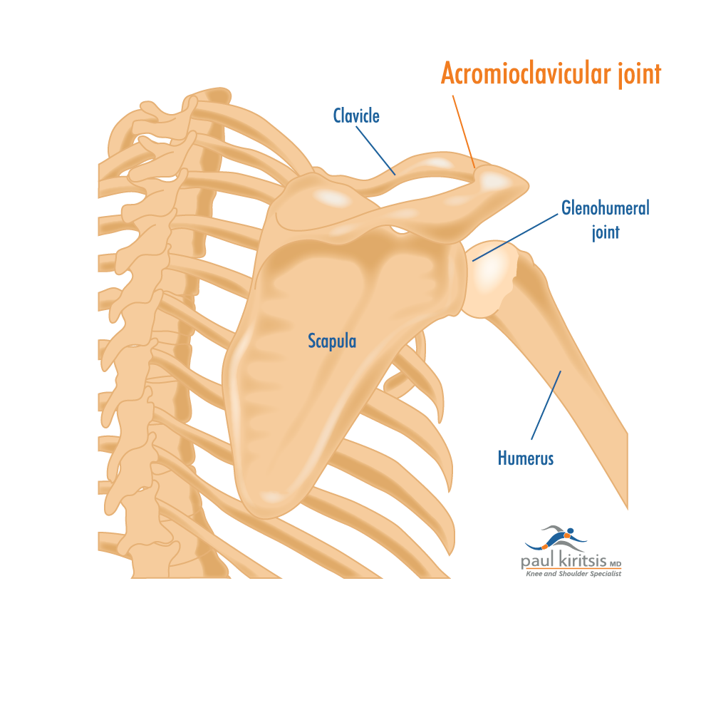 Understanding the Acromioclavicular Joint's Role in What Are the Signs of Arthritis in the Shoulder?